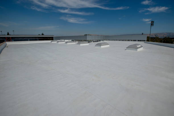 Best Hot Roofs  in Niles, OH