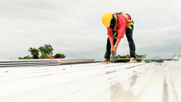 Best Roof Repair  in Niles, OH