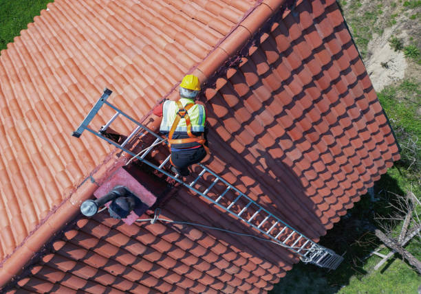 Best Roof Inspection  in Niles, OH