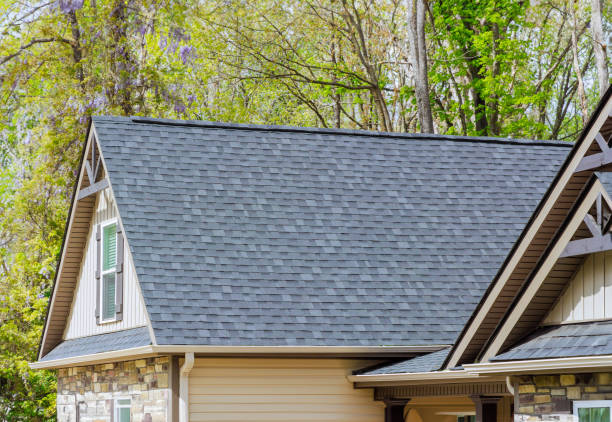 Best Emergency Roof Repair Services  in Niles, OH